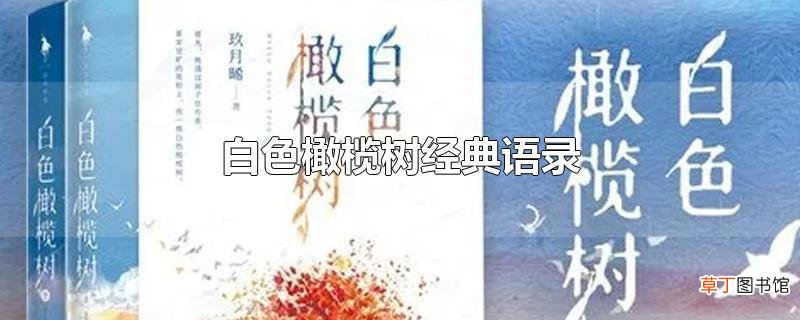 白色橄榄树经典语录