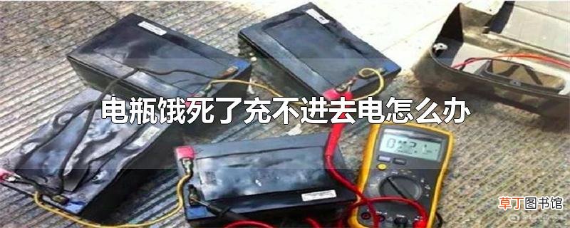 电瓶饿死了充不进去电怎么办