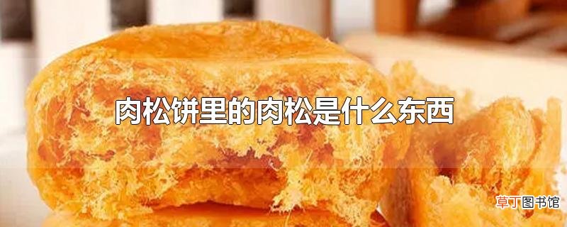 肉松饼里的肉松是什么东西
