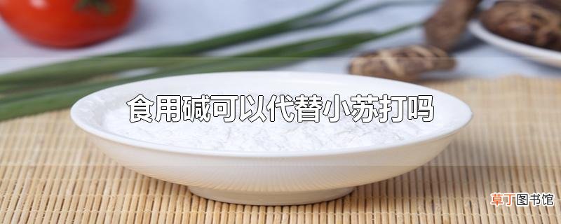 食用碱可以代替小苏打吗