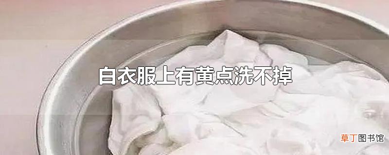 白衣服上有黄点洗不掉