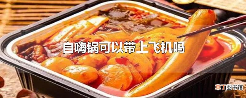 自嗨锅可以带上飞机吗