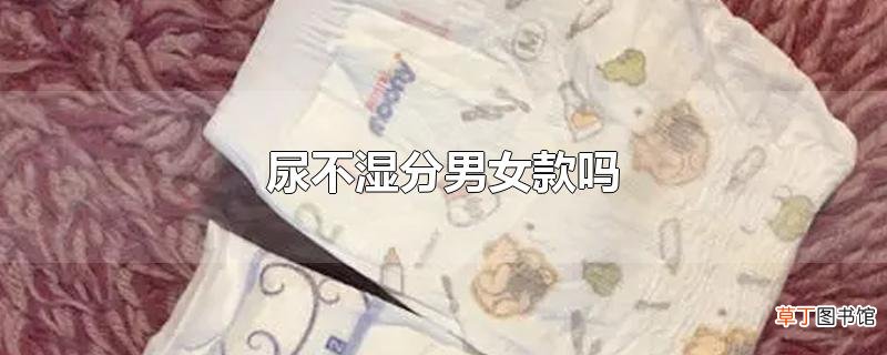 尿不湿分男女款吗