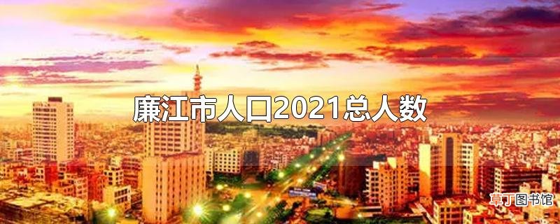 廉江市人口2021总人数