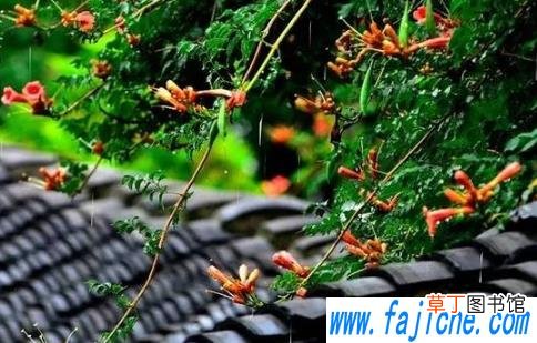 2021年梅雨期真的到七月十九号能结束吗 2021年梅雨季一定会持续阴雨吗