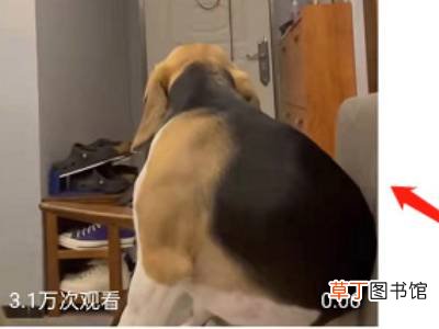 微博视频怎么清屏
