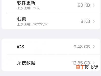 苹果的系统数据怎么清理