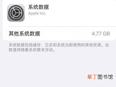 苹果的系统数据怎么清理