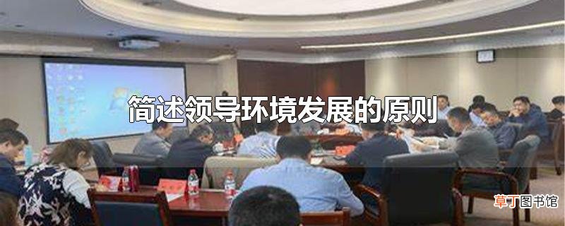 简述领导环境发展的原则