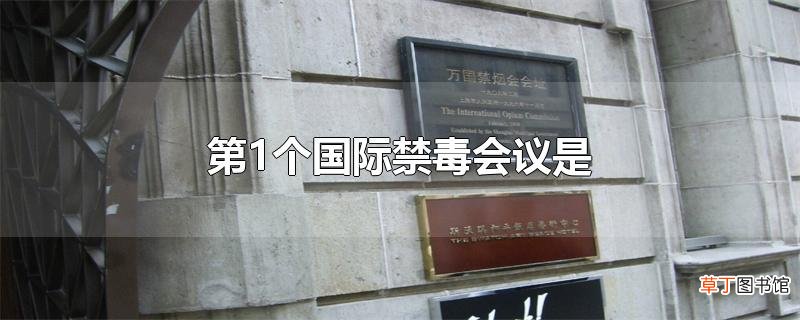 第1个国际禁毒会议是
