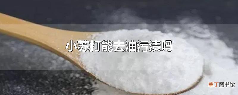 小苏打能去油污渍吗