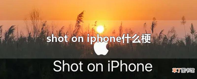 shot on iphone什么梗