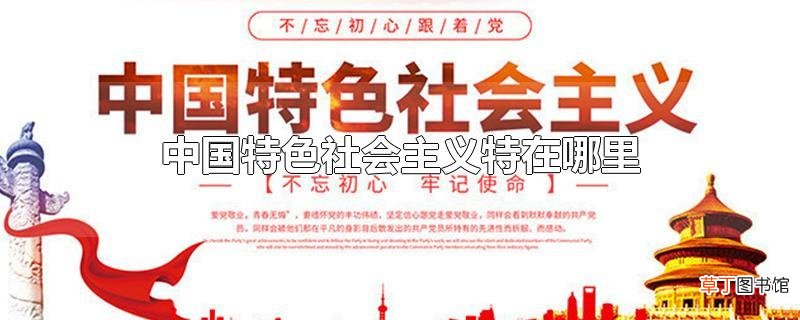 中国特色社会主义特在哪里