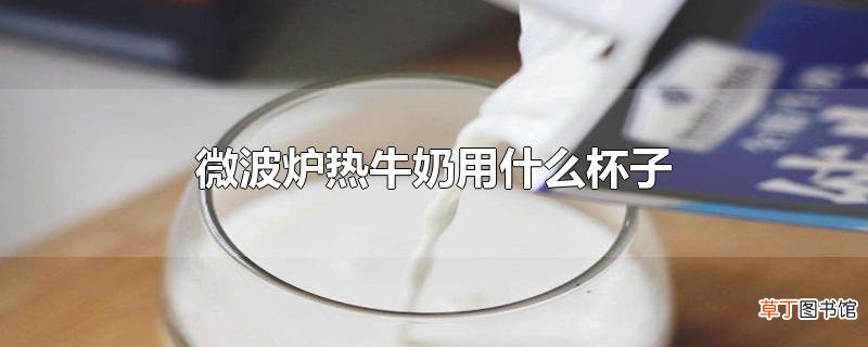 微波炉热牛奶用什么杯子