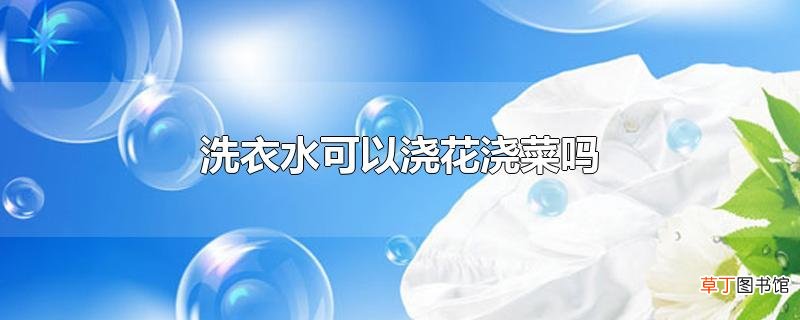 洗衣水可以浇花浇菜吗