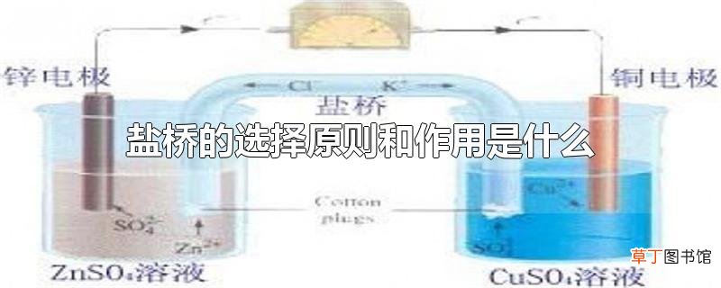 盐桥的选择原则和作用是什么