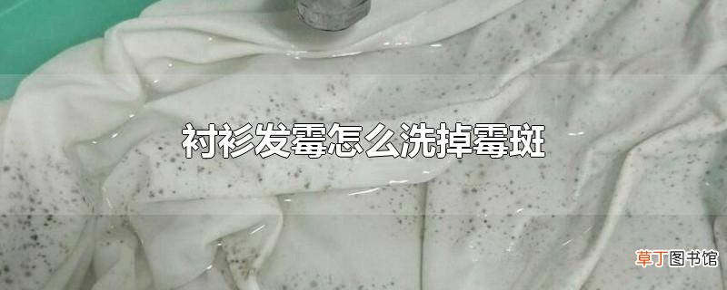 衬衫发霉怎么洗掉霉斑