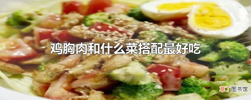 鸡胸肉和什么菜搭配最好吃