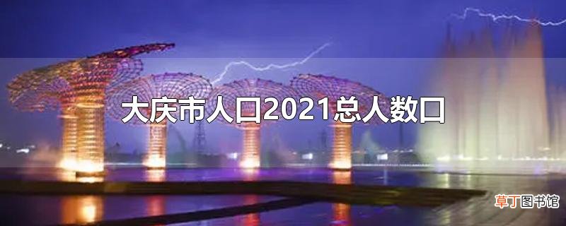 大庆市人口2021总人数口