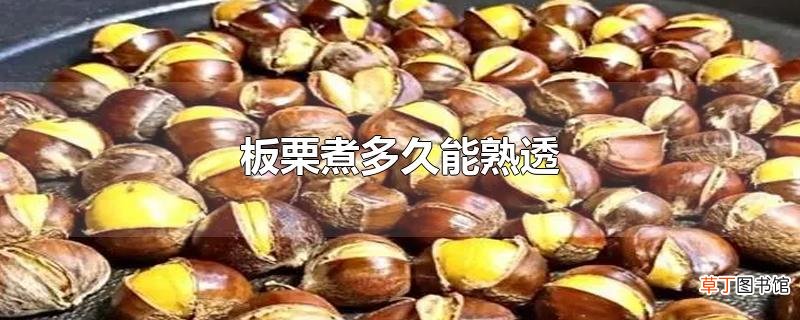 板栗煮多久能熟透