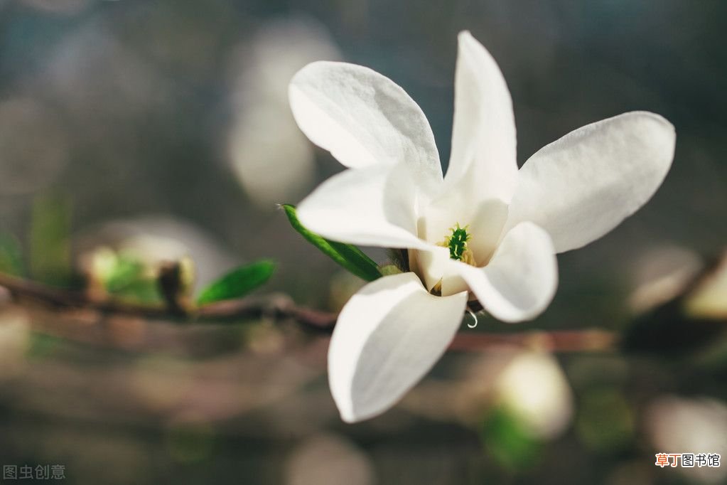 经典名人励志小故事 名人励志典型故事