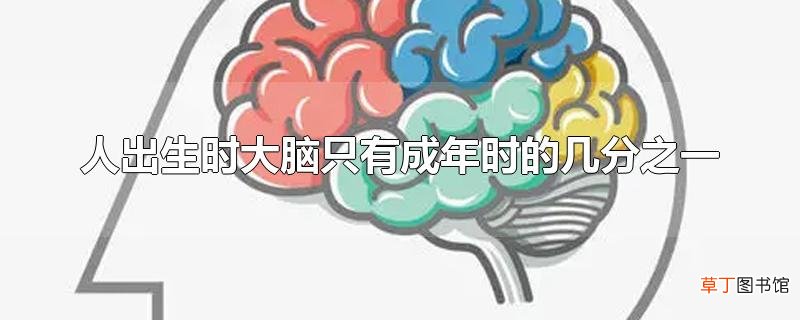 人出生时大脑只有成年时的几分之一