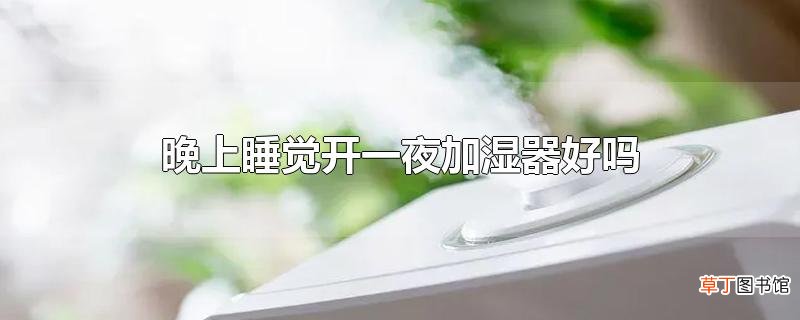 晚上睡觉开一夜加湿器好吗