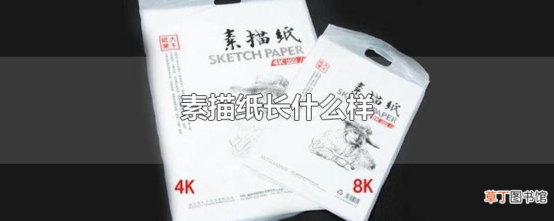素描纸长什么样