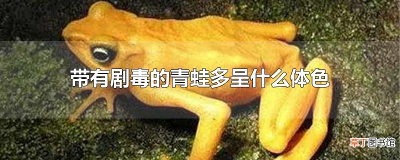 带有剧毒的青蛙多呈什么体色