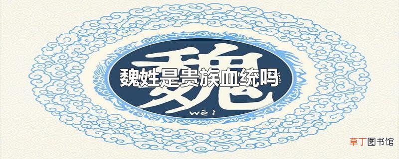 魏姓是贵族血统吗