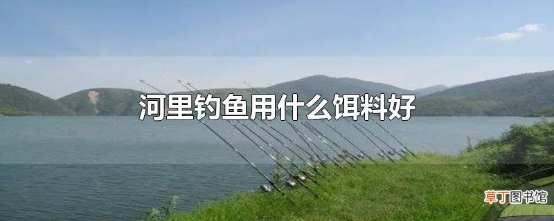河里钓鱼用什么饵料好