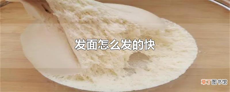 发面怎么发的快