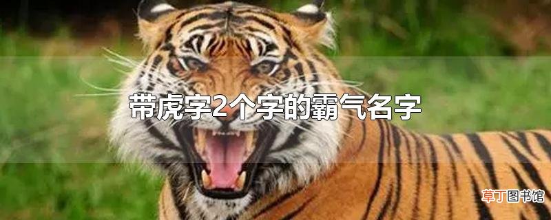 带虎字2个字的霸气名字