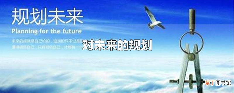 对未来的规划