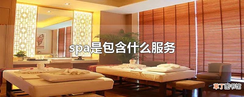 spa是包含什么服务
