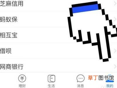 支付宝积分延期卡在哪里