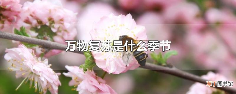 万物复苏是什么季节