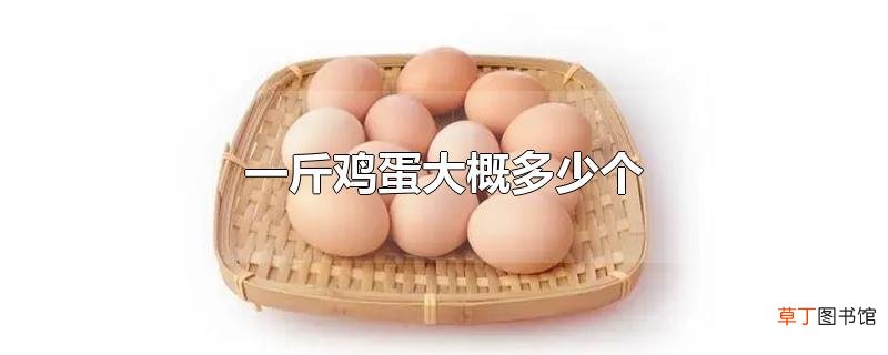 一斤鸡蛋大概多少个