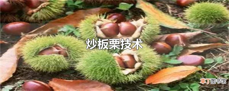 炒板栗技术