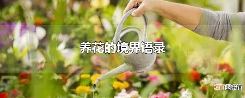 养花的境界语录