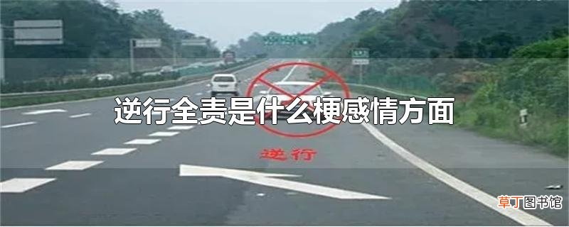 逆行全责是什么梗感情方面