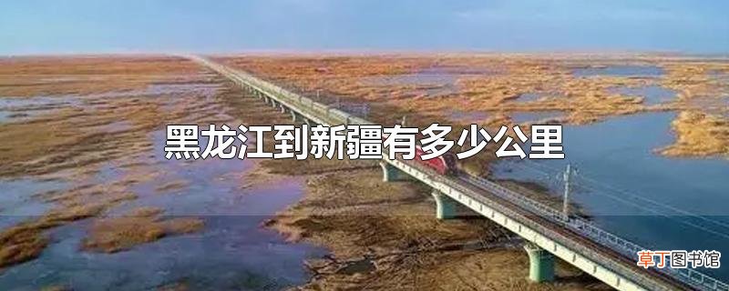 黑龙江到新疆有多少公里