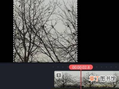 如何去视频里的文字