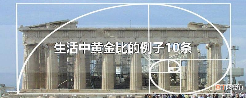 生活中黄金比的例子10条