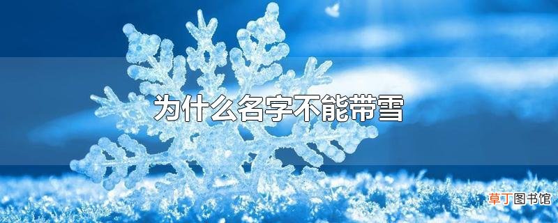 为什么名字不能带雪