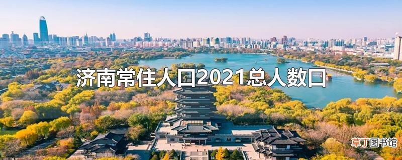 济南常住人口2021总人数口
