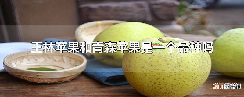 王林苹果和青森苹果是一个品种吗