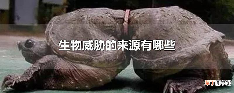 生物威胁的来源有哪些