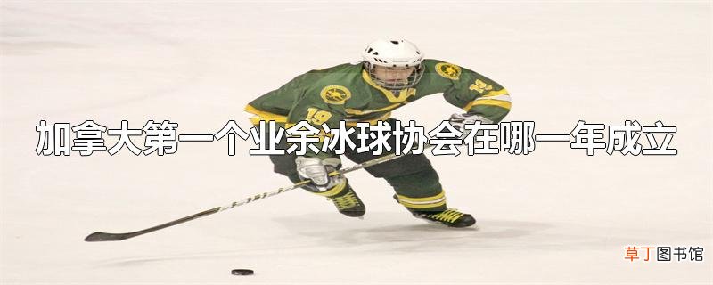 加拿大第一个业余冰球协会在哪一年成立