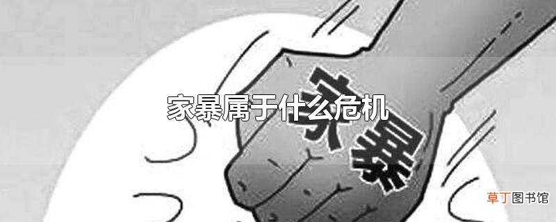 家暴属于什么危机